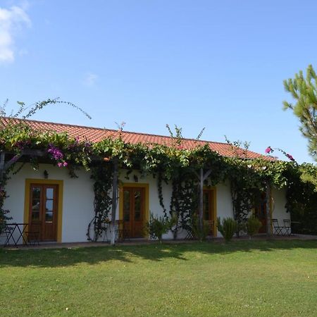 Casa De Campo Vale Do Asno Altura Exteriér fotografie